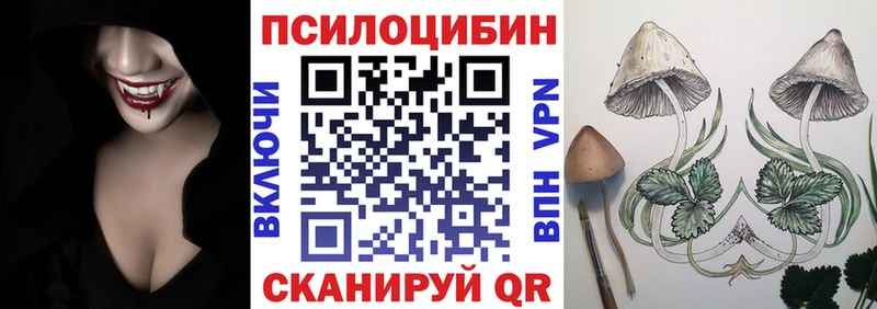 Псилоцибиновые грибы мицелий  купить наркоту  OMG маркетплейс  Великий Новгород 